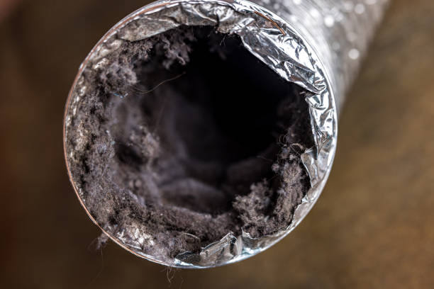 Best Air Duct Cleaning Cost  in Elysburg, PA